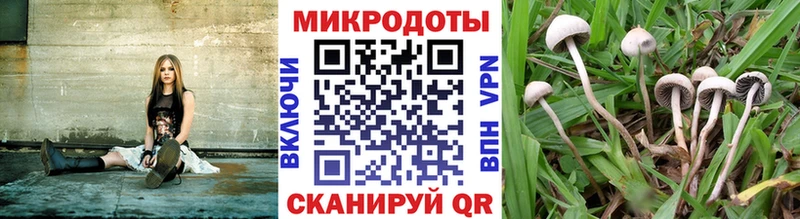 мега зеркало  Болотное  Псилоцибиновые грибы Magic Shrooms  купить закладку 
